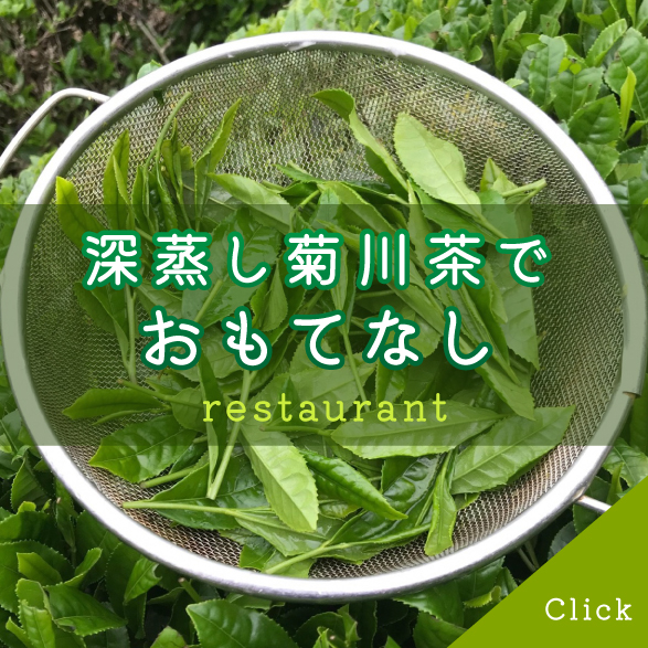 深蒸し菊川茶でおもてなし