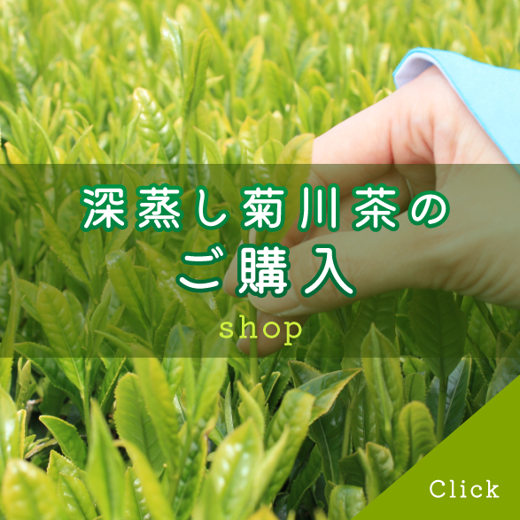 深蒸し菊川茶のご購入